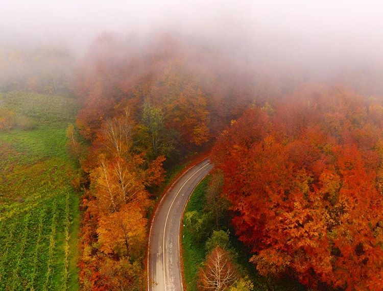 Jesenji-pejzaž Dronom iz vazduha do izuzetnih fotografija