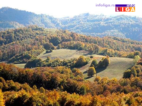 IL-restitucija-sume2 Ivanjičanima do sada vraćeno 603 hektara šuma i 28 objekata