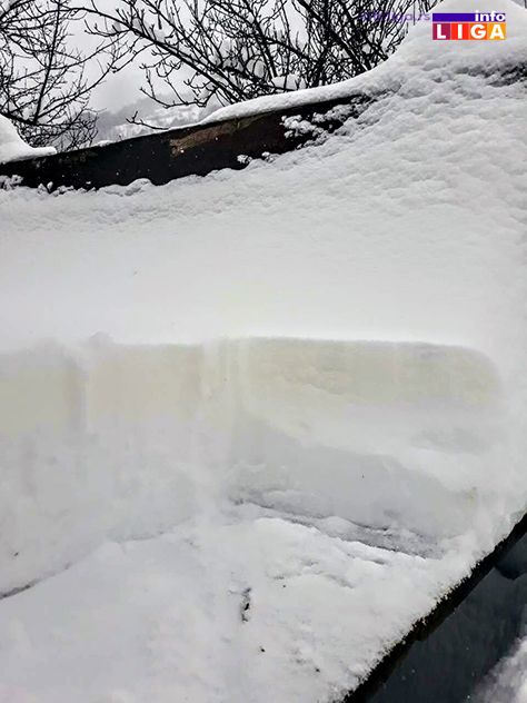 IL-zuti-sneg2 Nesvakidašnja pojava u okolini Ivanjice - Pao žuti sneg