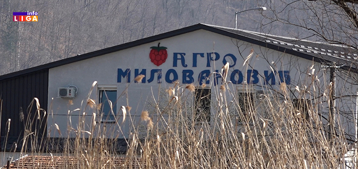 Il-agro-milovanovic- Ivanjica dobija novu savremenu hladnjaču - porodica Milovanović proširuje kapacitete (VIDEO)
