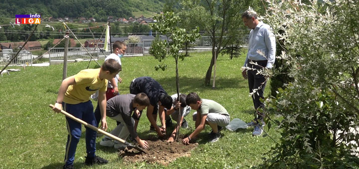 IL-sadnja-drveca2 Eko junaci u projektu očuvanja životne sredine (VIDEO)