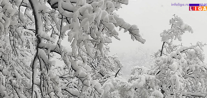 IL-Sneg- Ivanjica na korak od vanredne situacije - sneg zavejao sela, pokidao dalekovode...