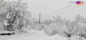 IL-Sneg-dalekovod-struja-300x142 IL- Sneg dalekovod struja