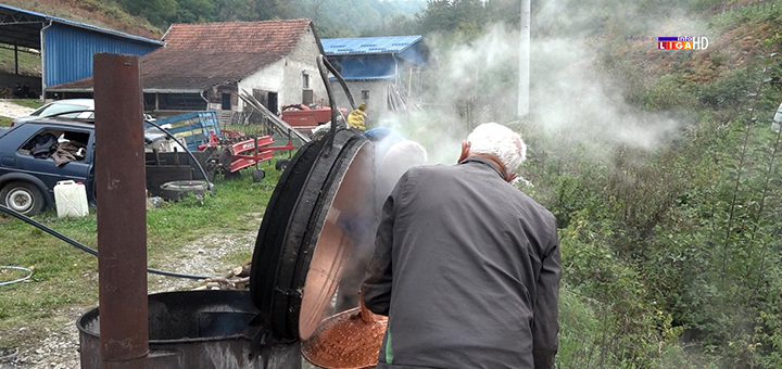 IL-dzibra-rakija-Djokovici- Ivanjica: Tri generacije oko vesele mašine, peče se rakija (VIDEO)