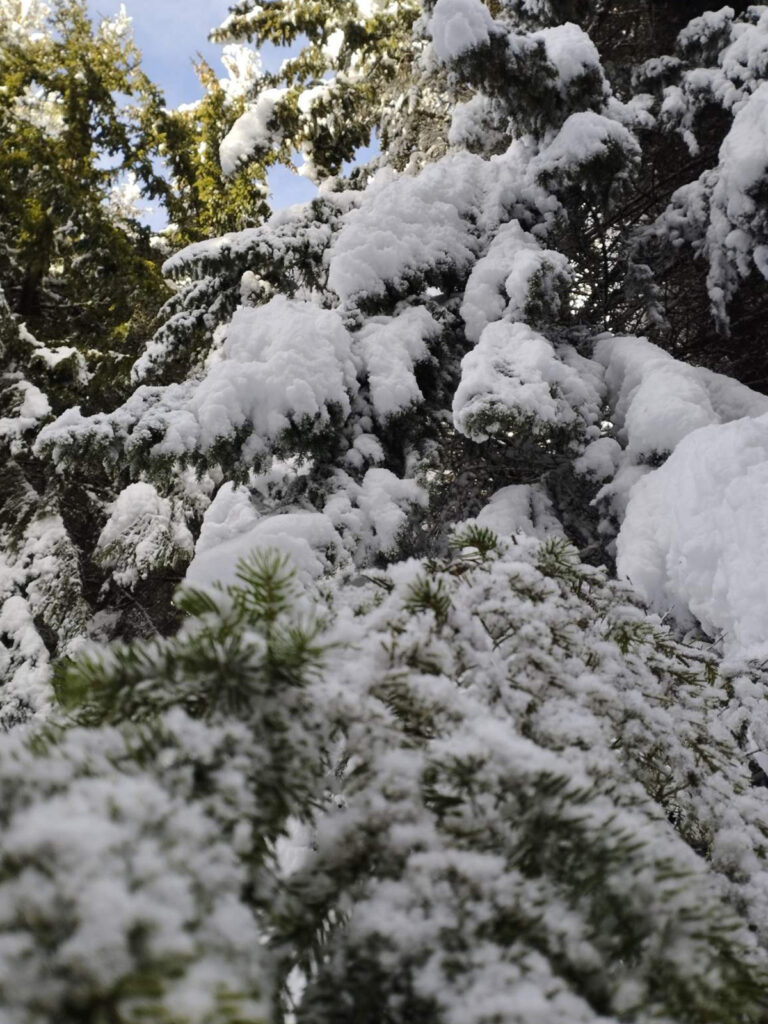 sneg-2-768x1024 Goliju okupirali sneg i turisti - putevi prohodni ali vetar stvara smetove do metra (VIDEO+FOTO)