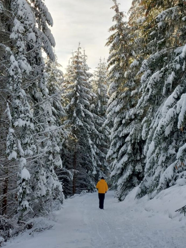 sneg-3-768x1024 Goliju okupirali sneg i turisti - putevi prohodni ali vetar stvara smetove do metra (VIDEO+FOTO)