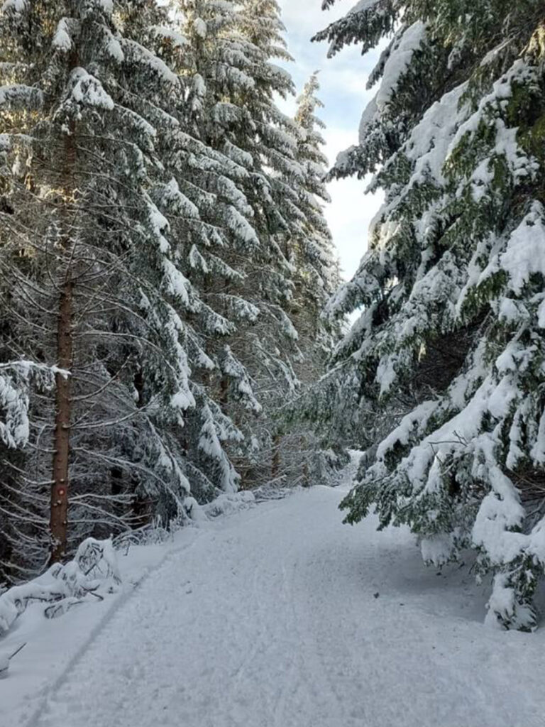 sneg-‚1-768x1024 Goliju okupirali sneg i turisti - putevi prohodni ali vetar stvara smetove do metra (VIDEO+FOTO)