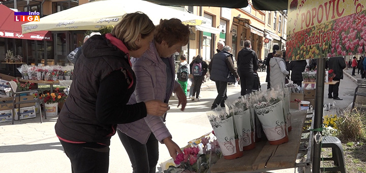 IL-Osmi-mart-ulica-prodavacica Osmi mart u Ivanjici u znaku cveća (VIDEO)