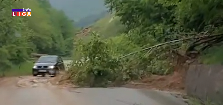 IL-Drvo-na-putu- Jaka kiša na području Ivanjice pokrenula nekoliko klizišta (VIDEO)