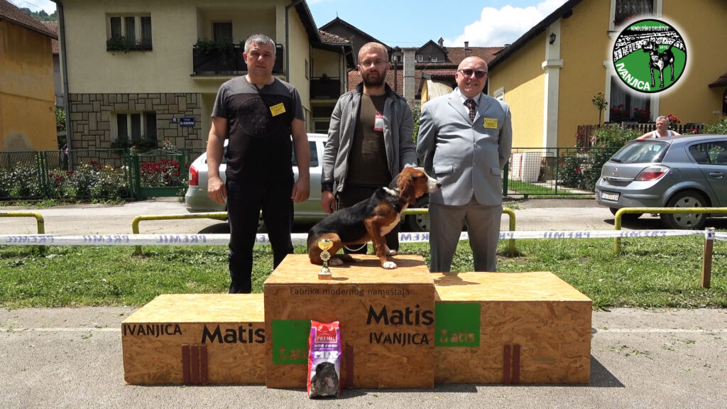 2-1024x576 Izlagači iz Srbije i regiona na XVI Specijalizovanoj izložbi pasa goniča u Ivanjici (VIDEO)