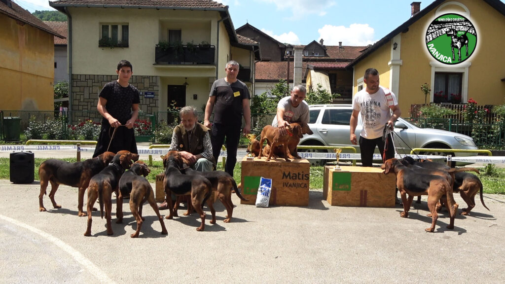 5-1024x576 Izlagači iz Srbije i regiona na XVI Specijalizovanoj izložbi pasa goniča u Ivanjici (VIDEO)