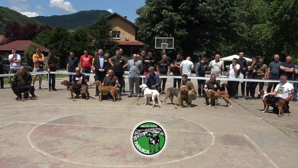 8-1024x576 Izlagači iz Srbije i regiona na XVI Specijalizovanoj izložbi pasa goniča u Ivanjici (VIDEO)