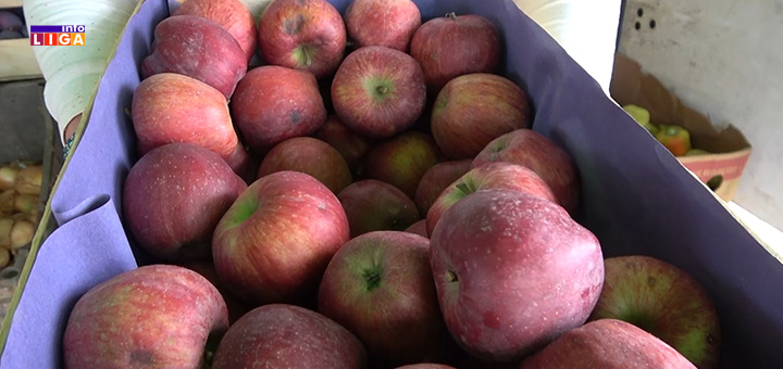 il-jabuke- Da li smo spremni za otvoreno tržište Kine (VIDEO)