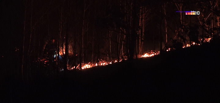 il-pozar Povećan broj požara na teritoriji Ivanjice (VIDEO)