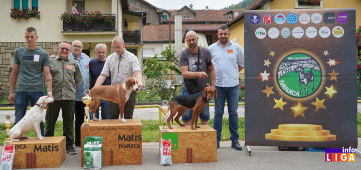 IL-Izlozba-pasa-najlepsi-mladi-psi Pehar za najlepšeg psa XVII Specijalizovane izložbe goniča, otišao u Kraljevo