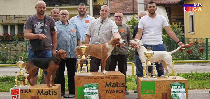 IL-Izlozba-pasa-najlepsi-psi-1 Pehar za najlepšeg psa XVII Specijalizovane izložbe goniča, otišao u Kraljevo