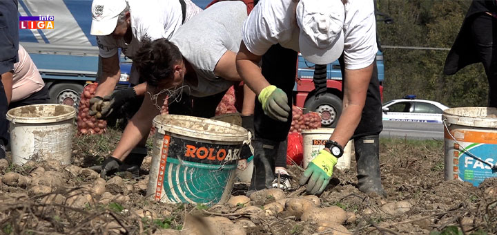 IL-krompiri1 Radi se po deset sati, posao je težak, a mahom ga obavljaju žene (VIDEO)