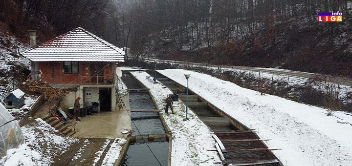 IL-mrestiliste-Panjica Mrestilište "Braduljica" – Čuvar autohtone potočne pastrmke na reci Panjici (VIDEO)