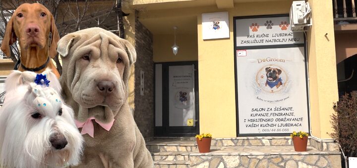 IL-DoGroom-Ivanjica DoGroom – prvi profesionalni grooming salon u Ivanjici